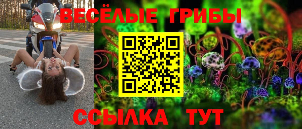 Псилоцибиновые грибы прущие грибы Великие Луки