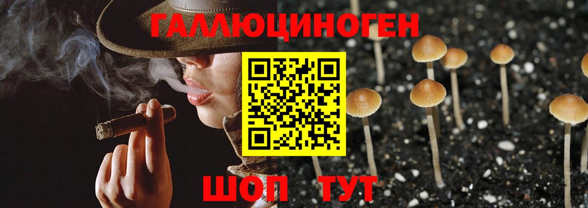 закладка  Псилоцибиновые грибы Magic Shrooms  Вход с VPN  Галлюциногенные грибы прущие грибы  Великие Луки 